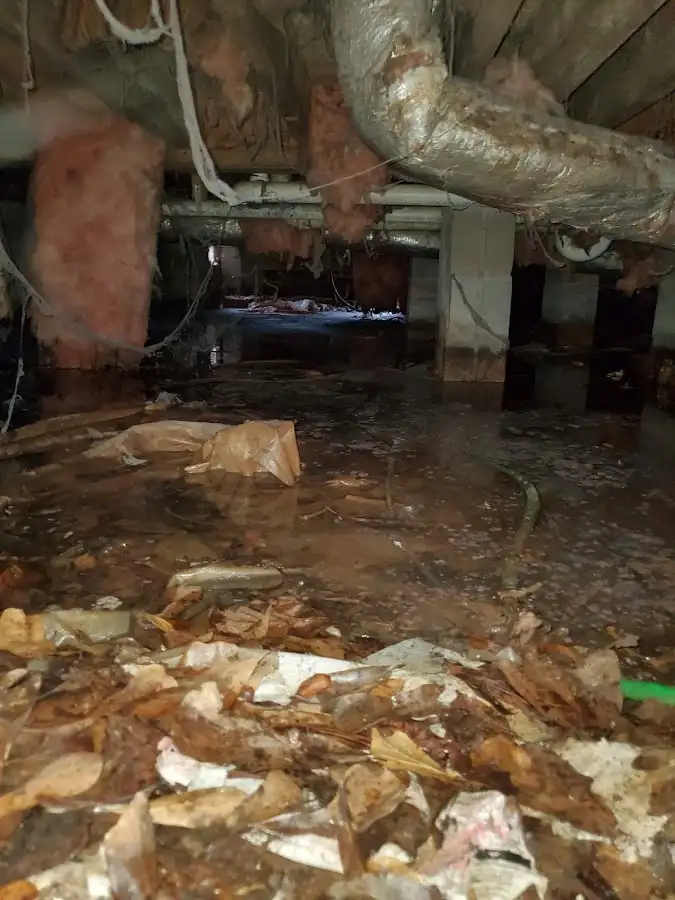 Crawl space flood assessment for Commercial Water Damage Restoration in Kingsville