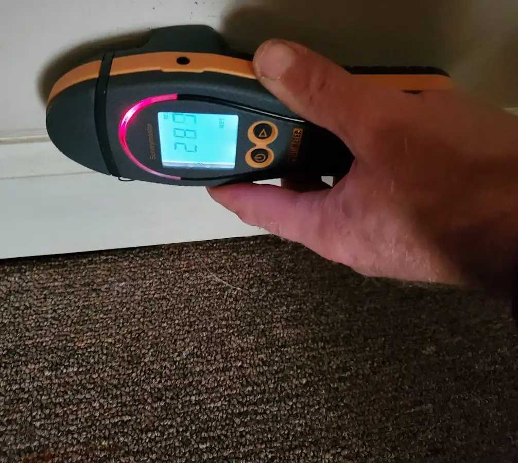 Moisture detection at baseboard during Burst Pipe Cleanup in Kingsville